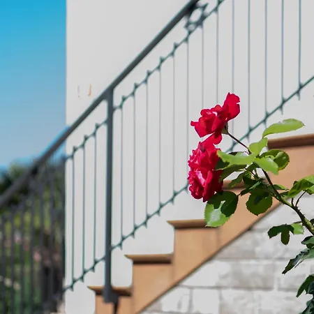 Olive Terrace Apartment *