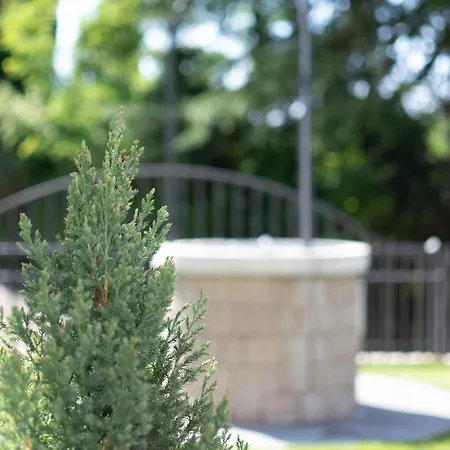 Olive Terrace Apartment *