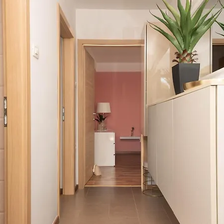 Olive Terrace * Koper