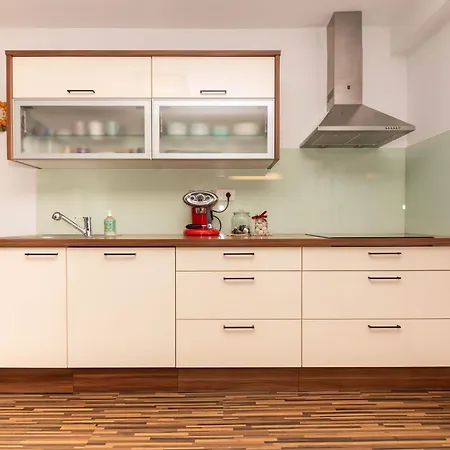 Apartment Olive Terrace Koper