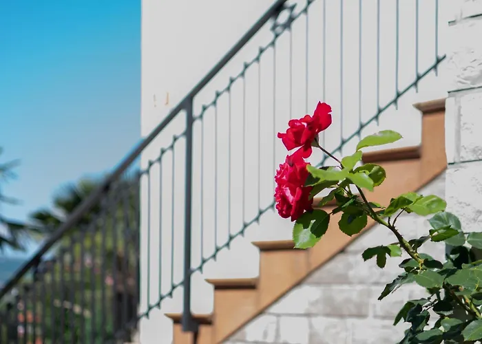 Olive Terrace Διαμέρισμα *