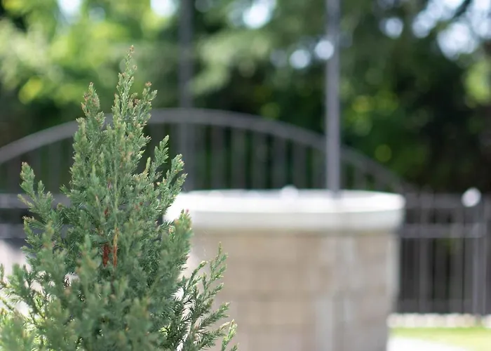 Olive Terrace Διαμέρισμα *